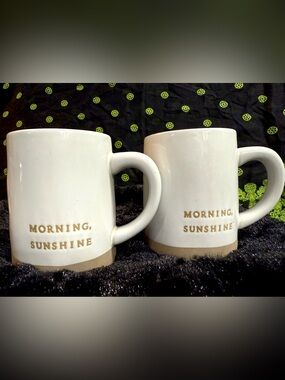 Hearth & Hand Magnolia Stoneware Mugs MORNING SUNSHINE Set of 2